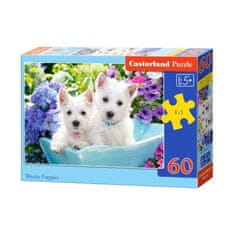 Castorland Puzzle Biele šteniatka, 60 dielikov