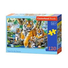 Castorland Puzzle Tigre pri vodopáde, 120 dielikov