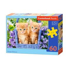 Castorland Puzzle Ryšavé mačiatka, 60 dielikov