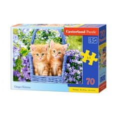Castorland Puzzle Ryšavé mačiatka, 70 dielikov