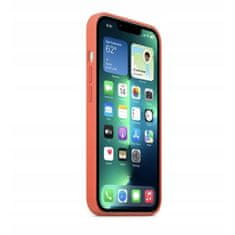 BB-Shop Puzdro APPLE pre iPhone 13 Pro Max Magsafe Nectarine