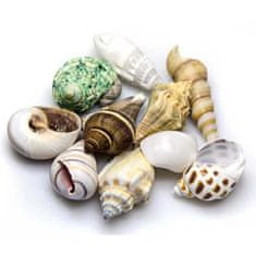 HOBBY aquaristic HOBBY Sea Shells Set M 10ks- dekorácia do akvária
