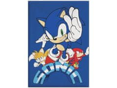 Aymax Modrá detská deka Ježko Sonic
