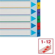 Esselte Zosilnené registre "Standard", popisovateľná titulná str., mix farieb, kartón, A4 Maxi, 1-12 100209