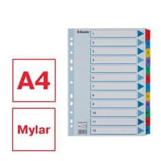 Esselte Zosilnené registre "Mylar", mix farieb, kartón, A4, 1-12 100162
