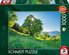 Schmidt Puzzle Platan 1000 dielikov