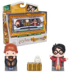 Spin Master Harry Potter dvojbalenie mini figúrok Harry a Ron s doplnkami