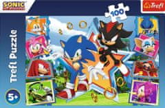 Trefl Puzzle Sonic: Zoznámte sa s ježkom 100 dielikov