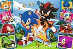 Trefl Puzzle Sonic: Zoznámte sa s ježkom 100 dielikov