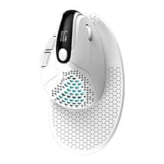Bezdrátová ergonomická myš Delux M618XSD BT+2.4G RGB (bílá)