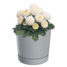 botle Okrúhly kvetináč s podstavcom Ø10,8 cm matný sivý