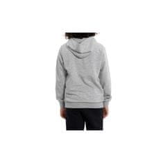 Champion Mikina sivá 132 - 143 cm/M Hooded Sweatshirt