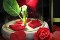 TopKing Večná ruža v skle červená - svietiaca