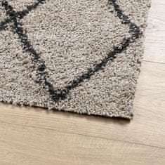 Petromila vidaXL Chlpatý koberec vysoký vlas béžovo-antracitový 240x340 cm