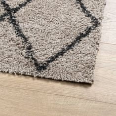 Petromila vidaXL Shaggy koberec PAMPLONA, vysoký vlas, béžová+antracit 240x240cm
