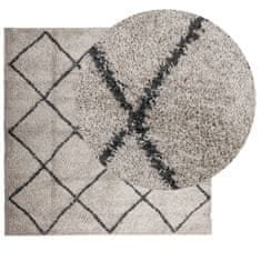 Petromila vidaXL Chlpatý koberec vysoký vlas béžovo-antracitový 240x240cm