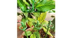 Merco Mulipack 12 sad Plant Buckle spony pre tyčky k rastlinám 10 ks