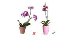 Merco Mulipack 4 sady Plant Rod 60 tyčky k rastlinám 10 ks