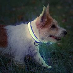 HARLEY® Bezpečnostný svietiaci obojok pre psov so zabudovaným LED svetlom – veľké plemená | PETSHINE