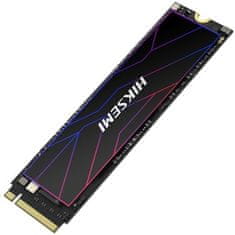 FUTURE, M.2 - 1TB (HS-SSD-FUTURE(STD)/1024G/PCIE4/WW)