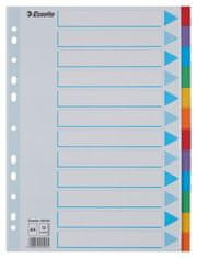 Esselte Register "Standard", popisovateľná titulná str., mix farieb, kartón, A4, 12 dielov 100194