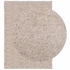 Petromila vidaXL Shaggy koberec PAMPLONA, vysoký vlas, moderný, béžový 120x170cm