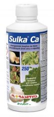 Floraservis Sulka Ca (500 ml)