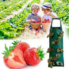 Netscroll Závesná taška na pestovanie jahôd (1+1 ZDARMA), StrawberryBag