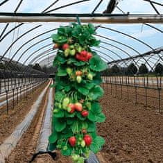 Netscroll Závesná taška na pestovanie jahôd (1+1 ZDARMA), StrawberryBag
