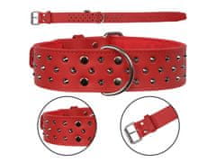 DINO Červený kožený obojok pre psov s cvočkami 50mm/60cm 