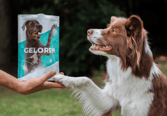 Contipro Geloren Large Dog 420g - doplnková zmes, želé pre psov na kĺby