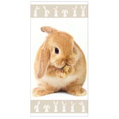 Jerry Fabrics Froté osuška s králikom 01 70x140 cm 100% bavlna