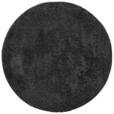 Petromila vidaXL Shaggy koberec PAMPLONA, vysoký vlas, moderný, antracit Ø 160cm