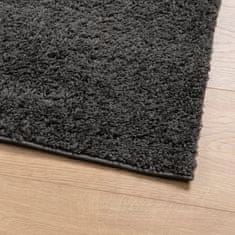 Petromila vidaXL Shaggy koberec PAMPLONA, vysoký vlas moderný antracit 140x200cm