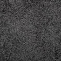 Petromila vidaXL Shaggy koberec PAMPLONA, vysoký vlas, moderný, antracit Ø 160cm