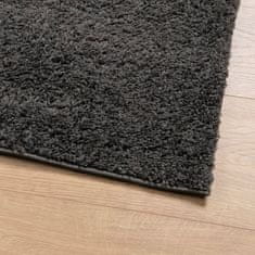 Petromila vidaXL Chlpatý koberec s vysokým vlasom moderný antracitový 200x280 cm