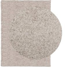 Petromila vidaXL Shaggy koberec PAMPLONA, vysoký vlas, moderný, béžový 300x400cm