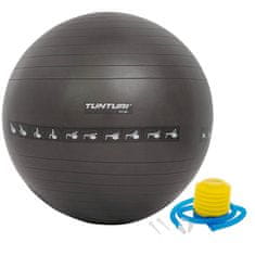 Tunturi  Gymnastická lopta 65cm s pumpičkou čierny