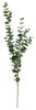 Vetvička eukalyptu 120 cm