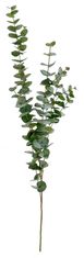 Shishi Vetvička eukalyptu 120 cm