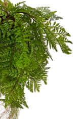 Shishi Papraď závesná zelená 75 cm