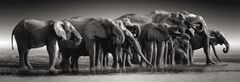 Clementoni Panoramatické puzzle Stádo slonov 1000 dielikov