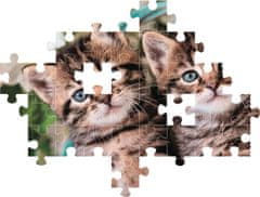 Clementoni Puzzle Mačiatka dvojčiatka 60 dielikov