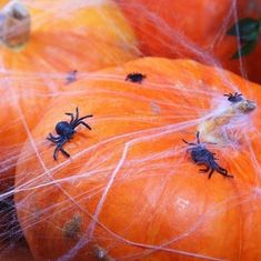 Sada pavúky - Halloween - 10 ks
