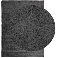 Petromila vidaXL Shaggy koberec PAMPLONA, vysoký vlas moderný antracit 240x340cm
