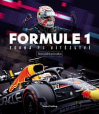 Formula 1 - Túžba po víťazstve