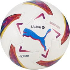 Puma Lopty futbal biela 5 P9899