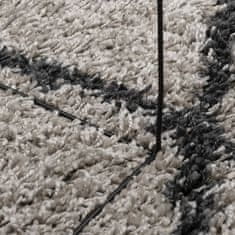 Petromila vidaXL Chlpatý koberec vysoký vlas béžovo-antracitový 240x340 cm