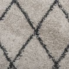 Petromila vidaXL Shaggy koberec PAMPLONA, vysoký vlas, béžová+antracit 160x230cm