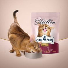 Club4Paws Premium CLUB 4 PAWS suché krmivo pre dospelé mačky - kačica so zeleninou 0,3 kg